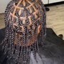 Large Senegalese Twists