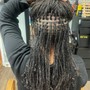 Senegalese Twist