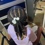 Kid's Braided ponytail