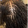 Mini Twists