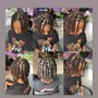 KIDS Dreadlocks pass mid back $25