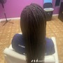 Senegalese Twist