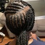 Braid Touch Up