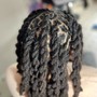 Starter locs