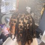 Natural Twist Take Down