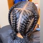 Feed in Braids