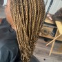 Senegalese Twist