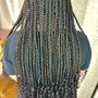 Starter Locs