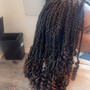 Bob Braids