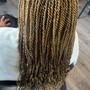 Senegalese Twist