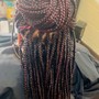 Bob Braids