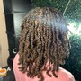 SMedium Kinky Twists