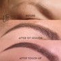 Eyebrow Tattooing: Powder/Ombre Brows