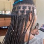 Starter Dreadlocks