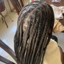 Starter Dreadlocks