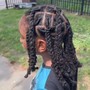 Jayda Wayda Braids Over Locs