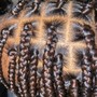 Medium Box Braids