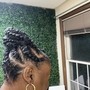 Havana Twists