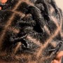 Loc Retwists