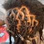 Half Head Loc Retwist