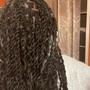 Poetic Justice Braids - xL