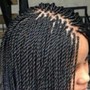 Senegalese’s twist (Rope Twist)