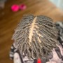 Dreadlocks Shoulder LENGTH