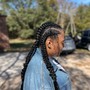 Butterfly / Feathered braids