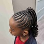 Mini Twist/ Spring Twist