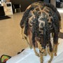 Starter Locs