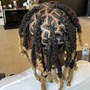 Starter Locs