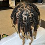 Starter Locs