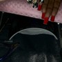 Nail Repair