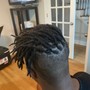 Shampoo + Loc Retwist + Style