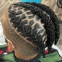 Tree Braids