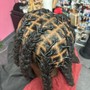 Kinky Twist