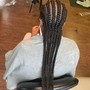 2 feed-in braids