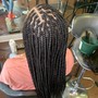 2 feed-in braids