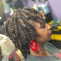 Full Head Braided Singles (Medium)