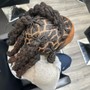 Root Touch Up