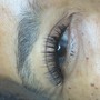 Hybrid Eyelash ReFill