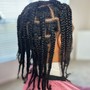 Twists/Braids/Comb Coils**