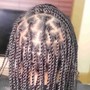 Micro Braids