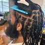 2 Strand Twist / Natural Hair