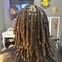 Two Strand twists