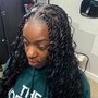 Medium Island Twists