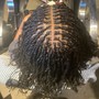 Feed in braids