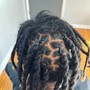 Starter Locs