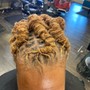 Root Touch Up