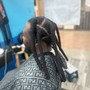 Havana Twists